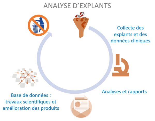 Capture d'écran 2025-01-23 153128.png