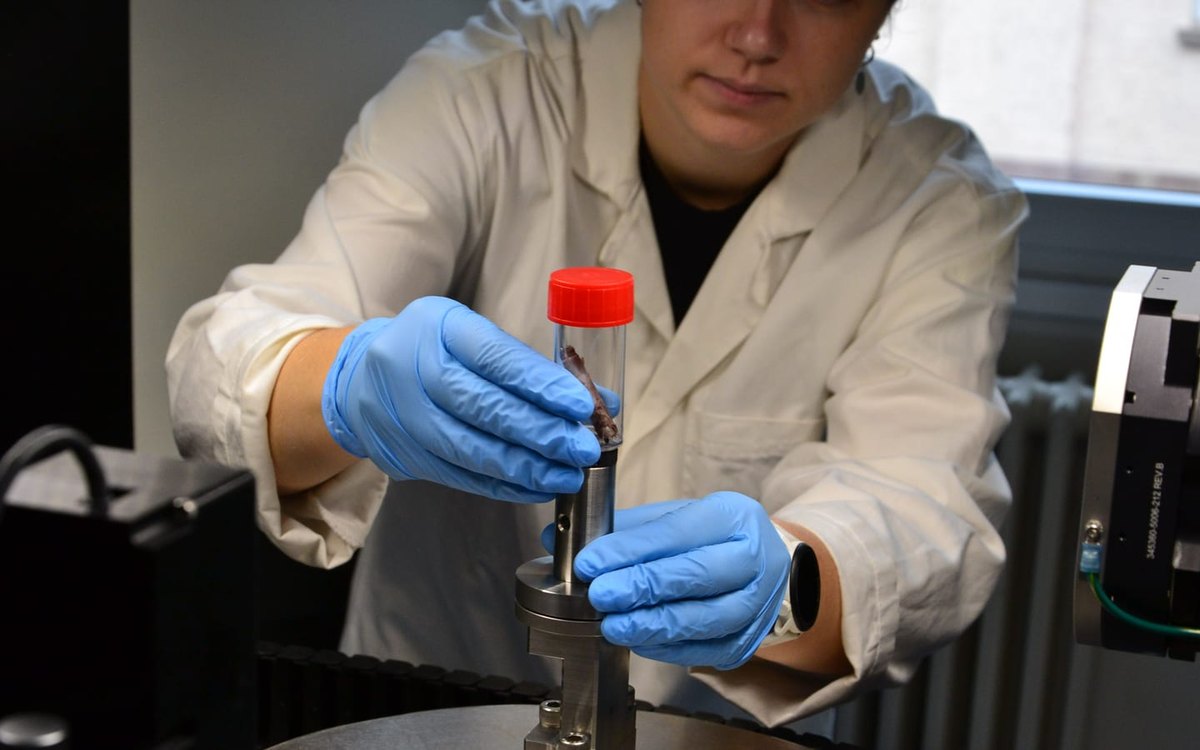 Préparation d'un échantillon au laboratoire